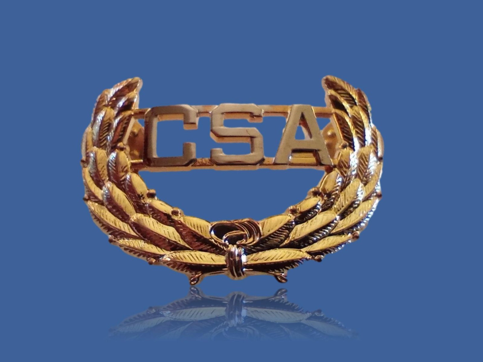 U.S CIVIL WAR C.S.A CAP BADGE REBEL HAT PIN CSA CONFEDERATE STATES OF AMERICA