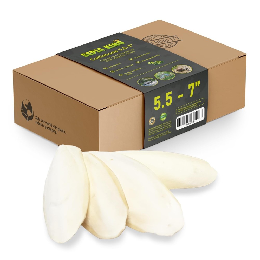 Natural Cuttlebone Calcium Supplement Large