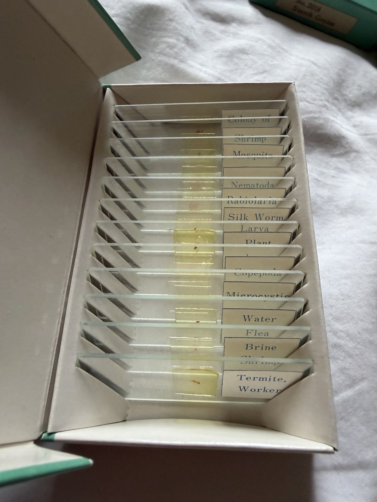 8 Vintage Microscope Slide Boxes. Prepared slides