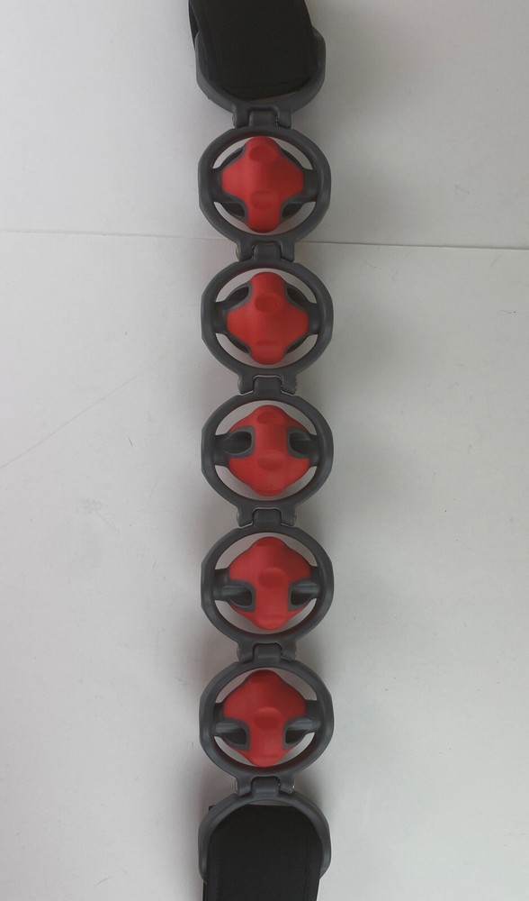 Brookstone FTS Forster Training Systems Back Massager
