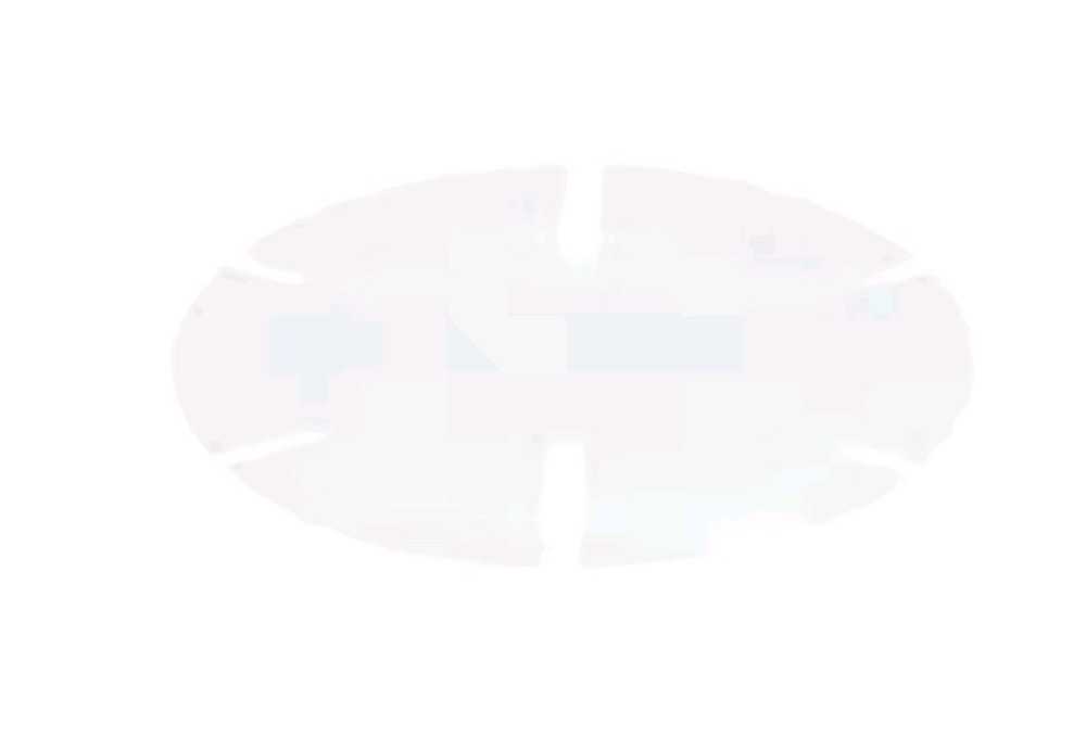 Bizerba 60666401100 Thrust Washer