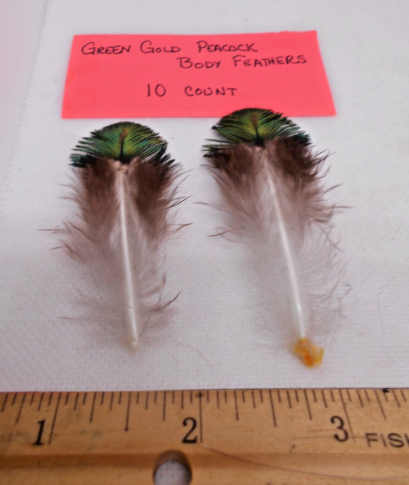 Assorted Peacock Feathers for Fly Tying - 6 Options Available