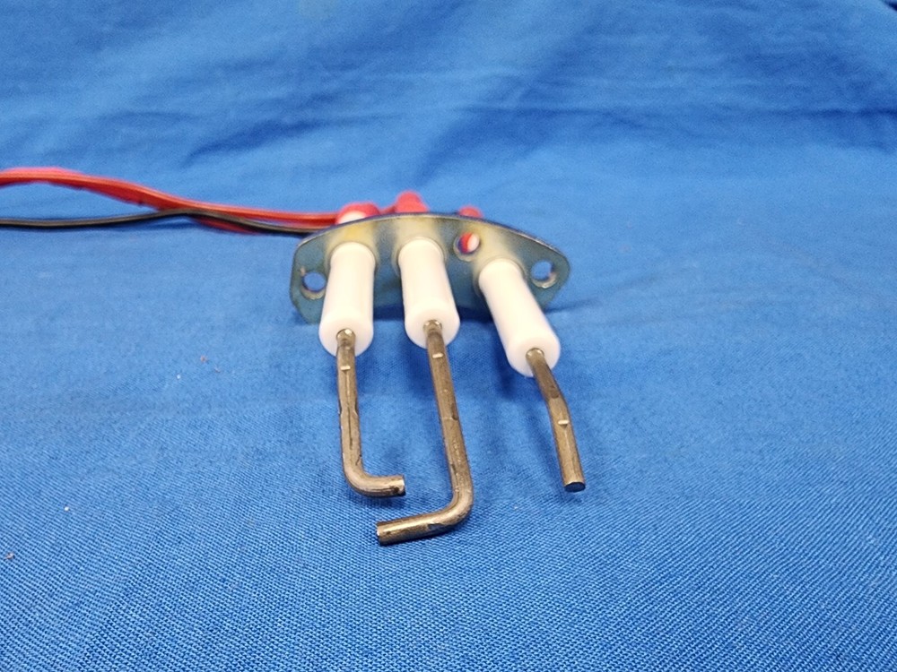 NEW OEM Electrolux Professional Ignition Electrode 0G5949