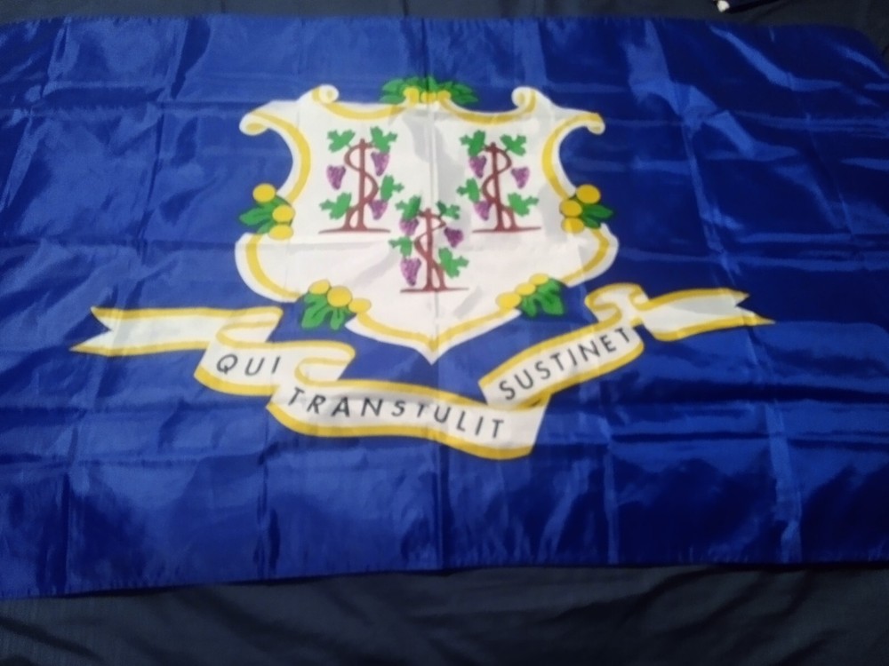 Connecticut State Flag