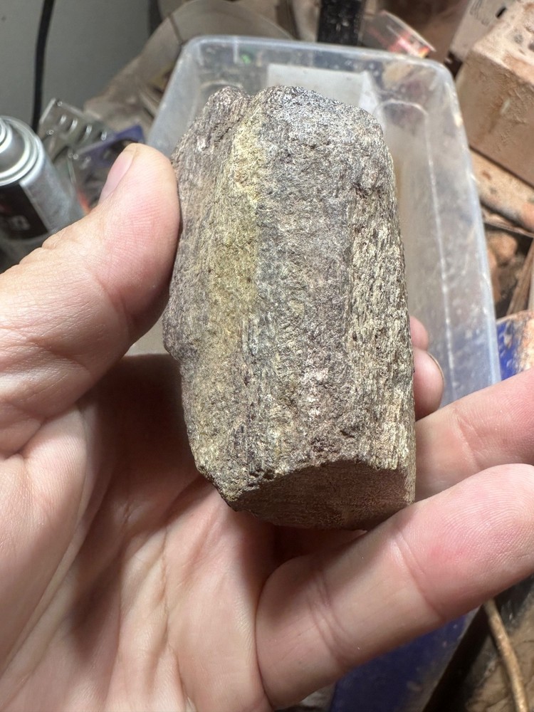 Dinosaur bone rough polished specimen