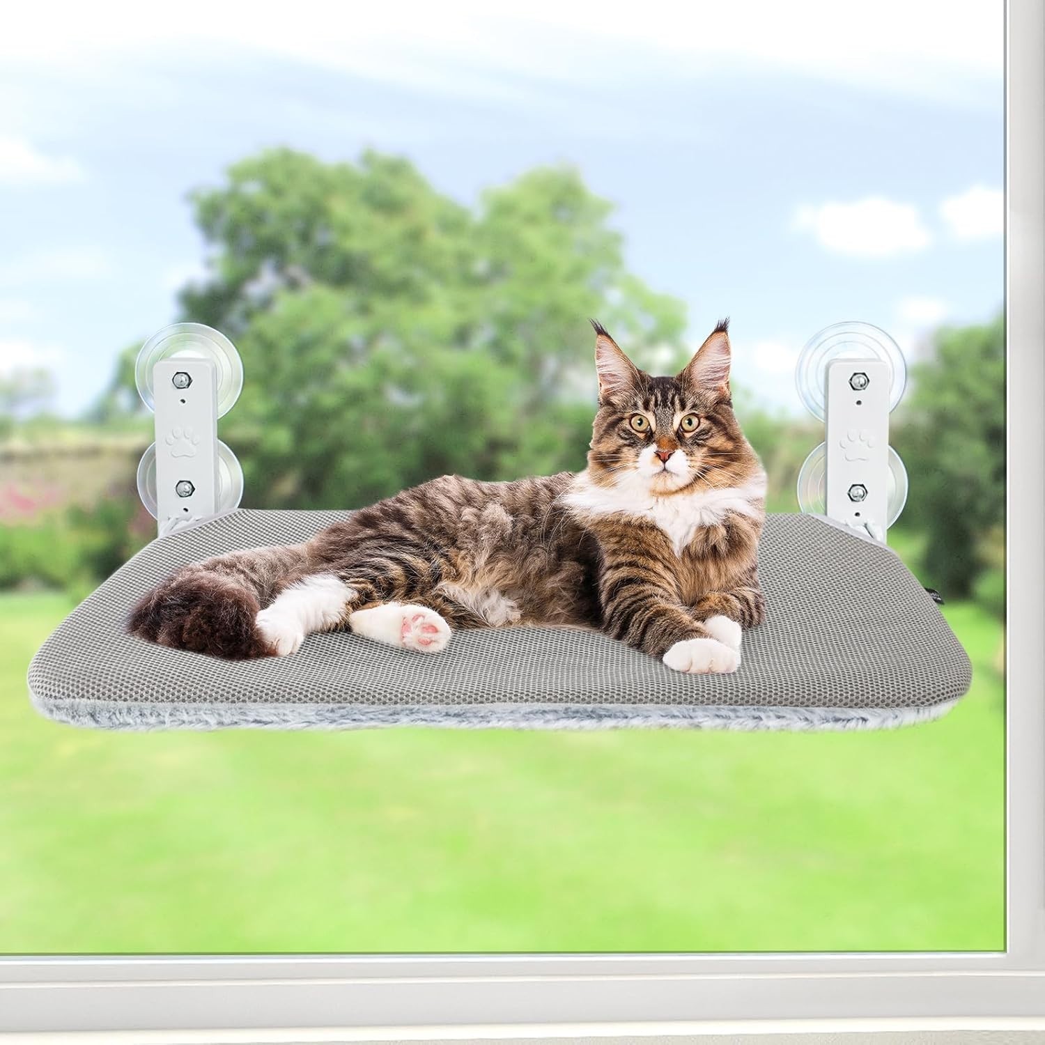 Foldable Cat Window Hammock Perch - Cordless Lounger for Indoor Cats, M Size