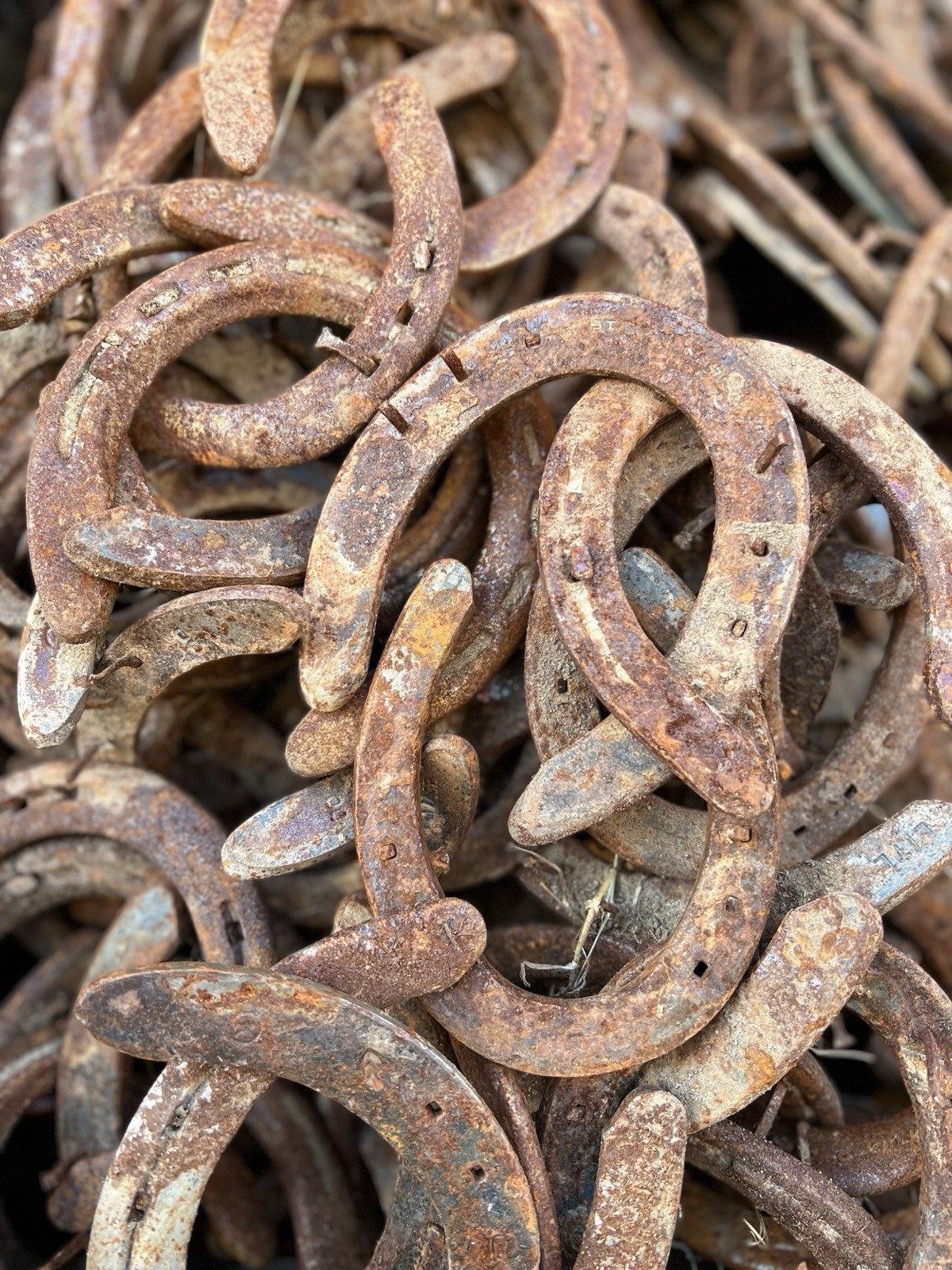 50 Used Steel Nevada Rusty Horseshoes W/Nails Lot Art Decor Rustic Western Weld