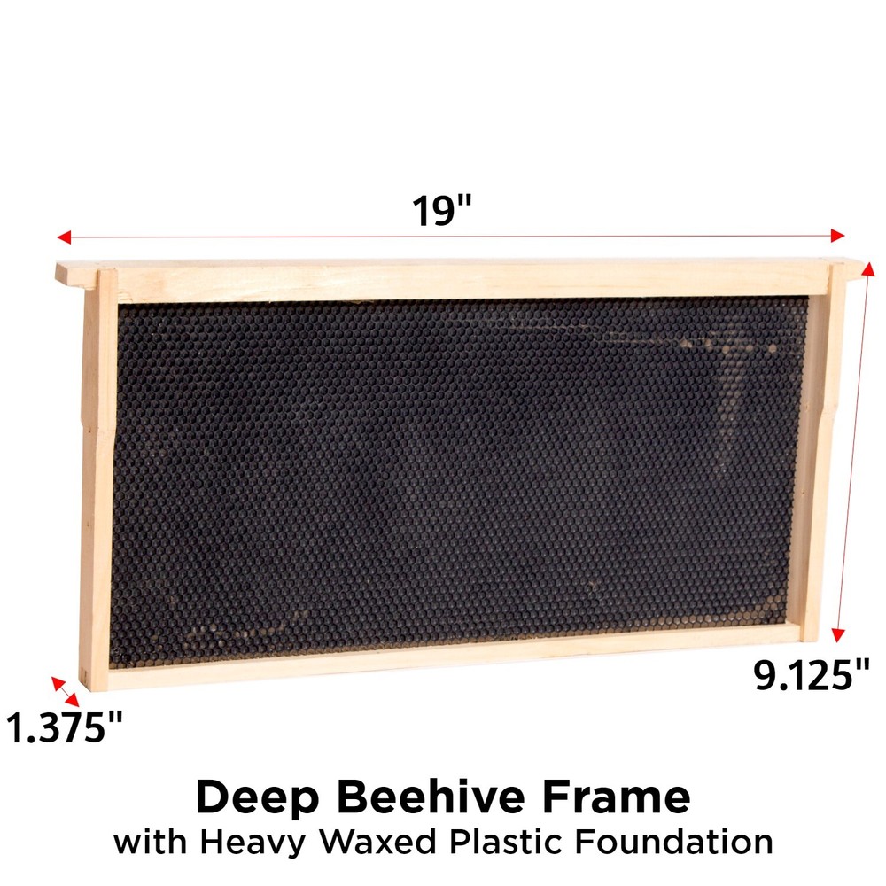Beekeeping Beehive Frame, Waxed Plastic Foundation, Deep Assembled Amish Made
