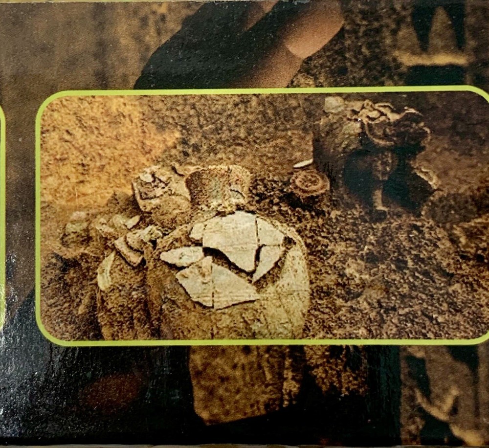 LED Display Waterproof Handheld Pin-pointer Metal Detector - 360° Search