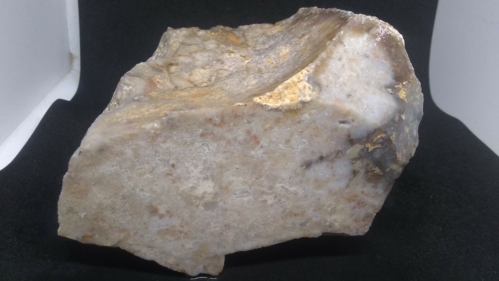 Jasper Chalcedony Murray Mountain Specimen Slabbed Both Sides