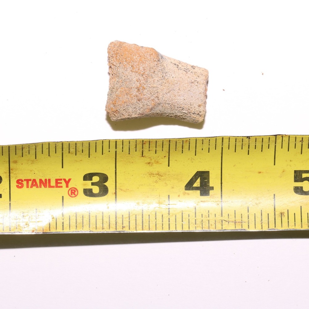 Hollow Raptor Bone - Hell Creek Formation Cretaceous