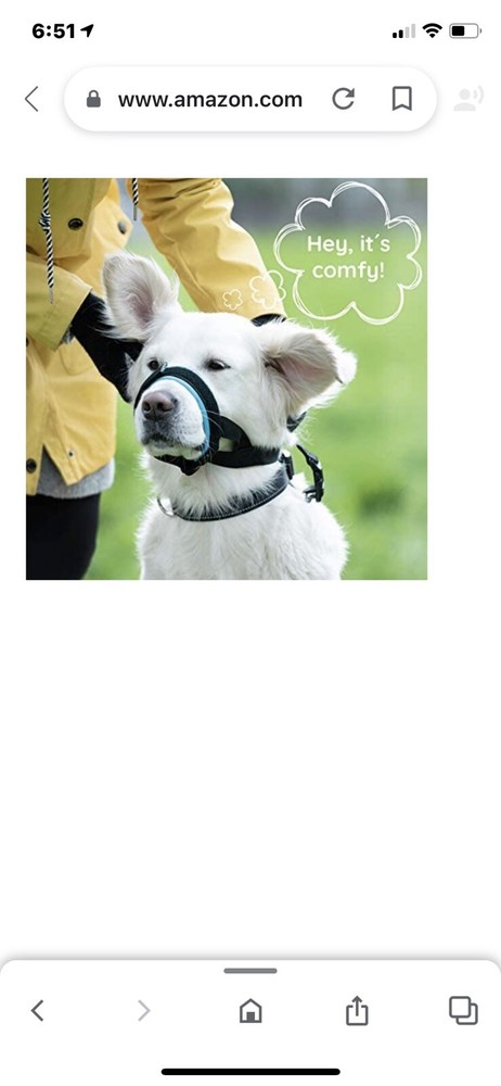 Premier Pet Dog Muzzle for S size