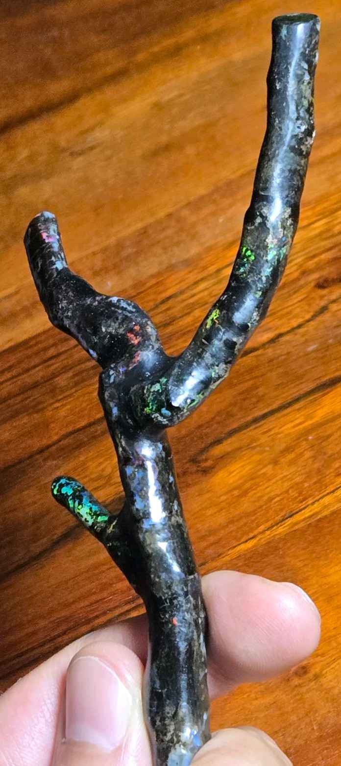 ULTRA RARE! LARGE GENUINE COLORFUL NATURAL OPAL IN BLACK PETRIFIED WOOD FOSSIL!