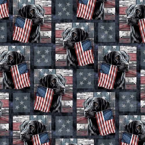 Patriotic Labs-Block Design-David Textiles-BTY