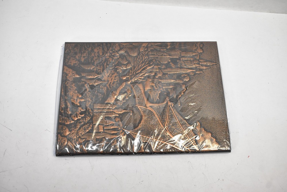 Fantasy Dragon DND Master Screen Storage Case Copper DM GM Dungeons & Dragons