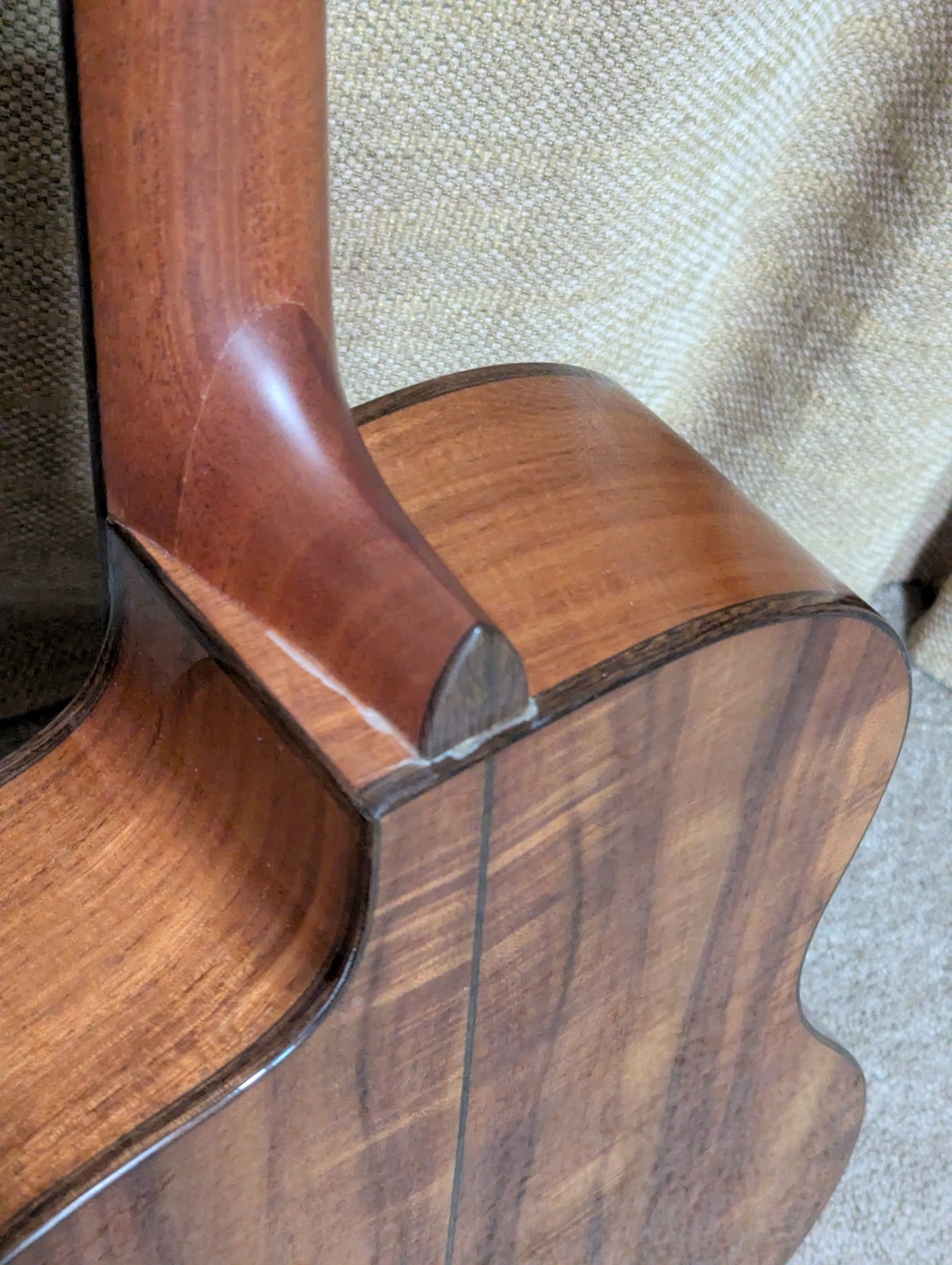 Washburn Bella Tono Allure Elite Acoustic-Electric Guitar - Minor cosmetic Blem