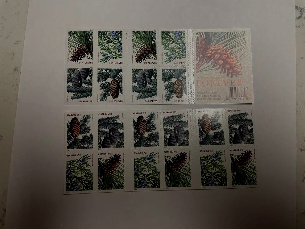 Holiday Evergreens--US Postage-Free shipping