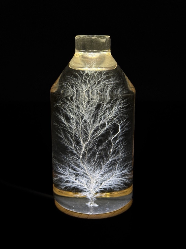 Lichtenberg Figure 2x3 Bottled Lightning