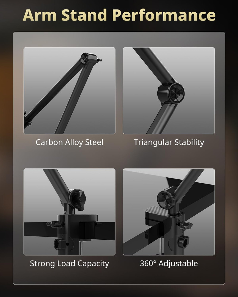 10" Key Light for Streaming, Desk Ring Light with Adjustable Arm, Zoom Lighting