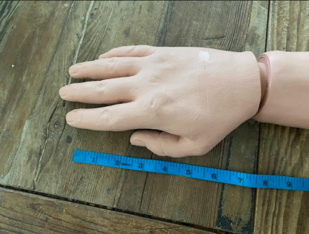Rubber hand and arm