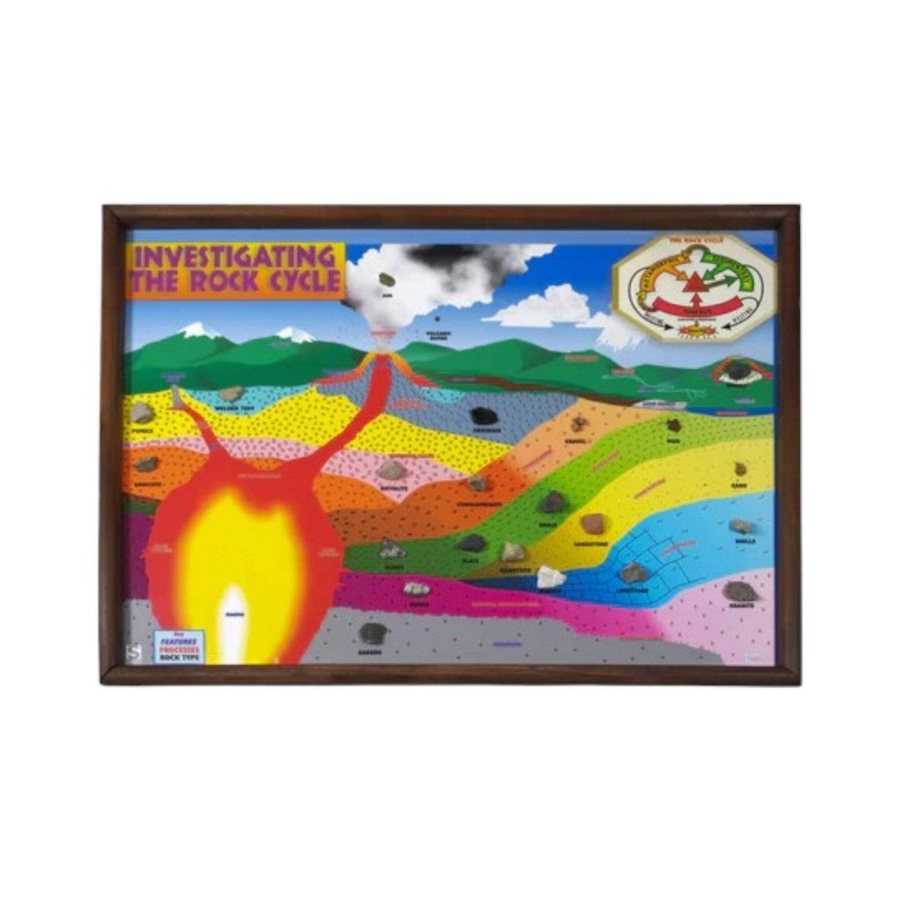 Rock Cycle Chart, 20 Specimens