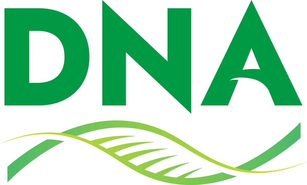 Daye KIT, PLUG | 84005230