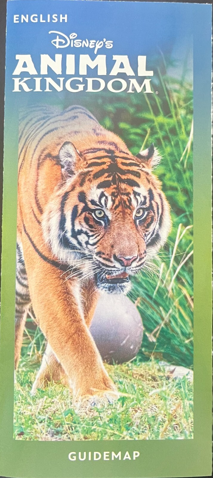 NEW 2025 Walt Disney World Theme Park Guide Maps 4 Current Maps Newest Available