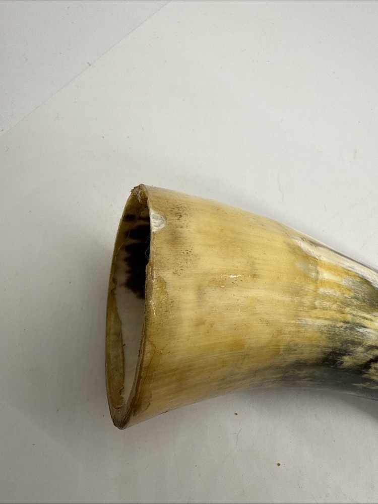 Powder Horn, 6”