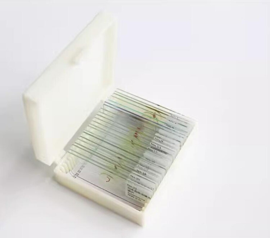 Parasites Microscope Specimen Slides for Parasitology Teaching Research 25pcs