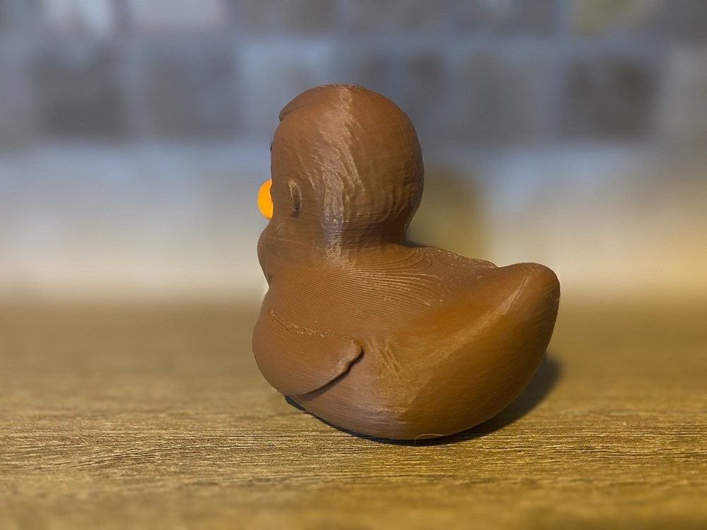 Big Foot Duck