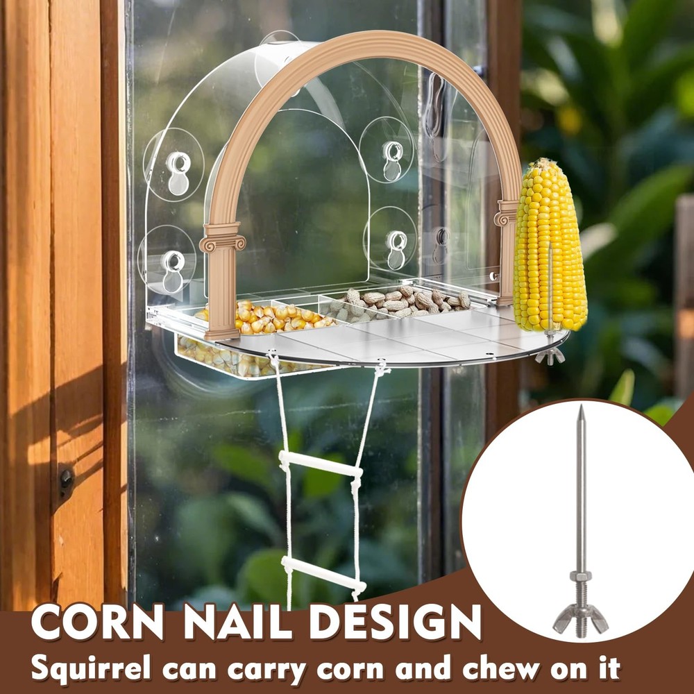 Window Squirrel Feeder Large Outside House 5 Suction Cups Clear Plastic