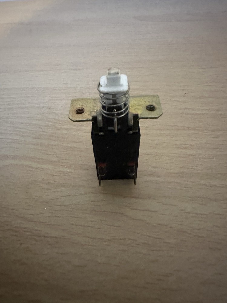 Vintage Push Switch