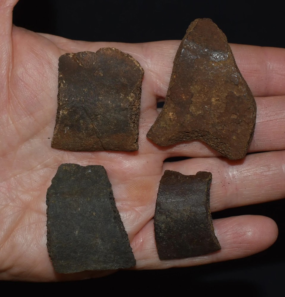 Set of Four Fossil Turtle Shell Peripheral Elements (Shell Edge)