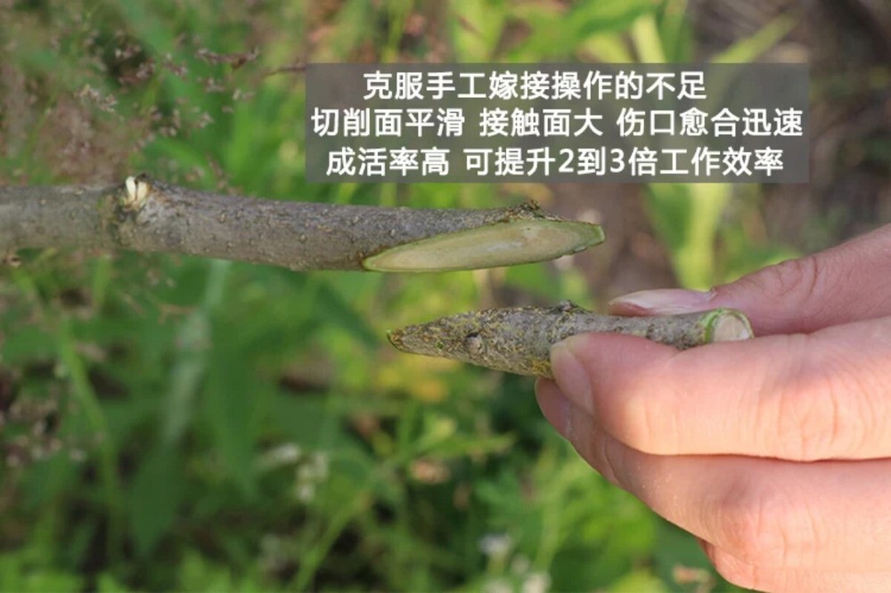 Grafting Machine J60 Multifunctional Grafting Tool for Fruit Tree Seedlings