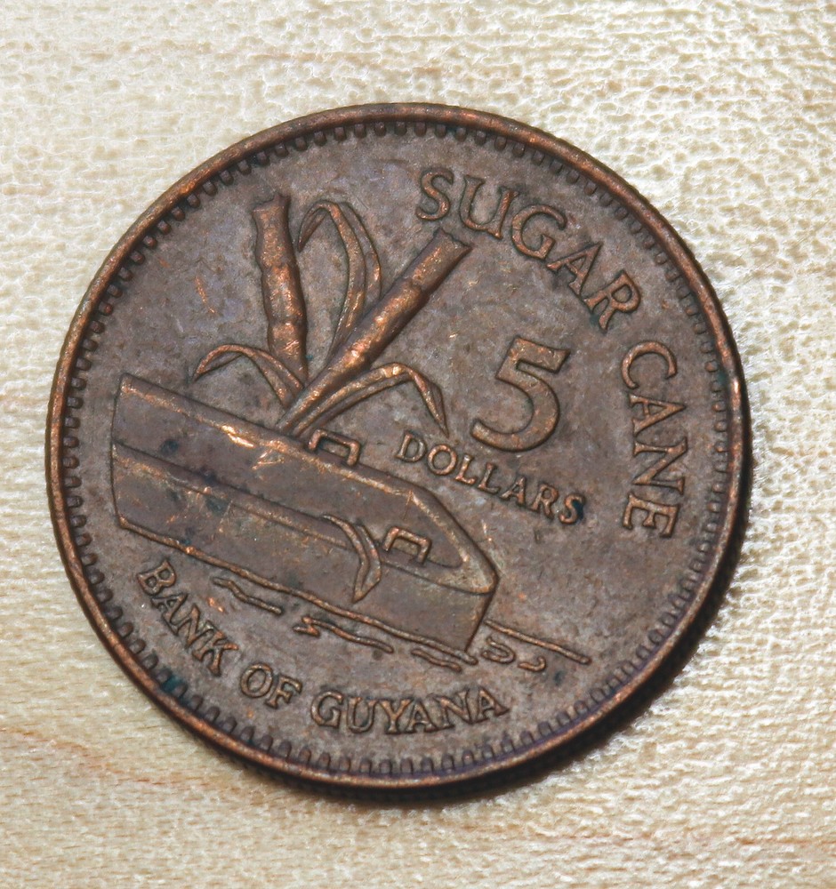 1996 Guyana 5 Dollars