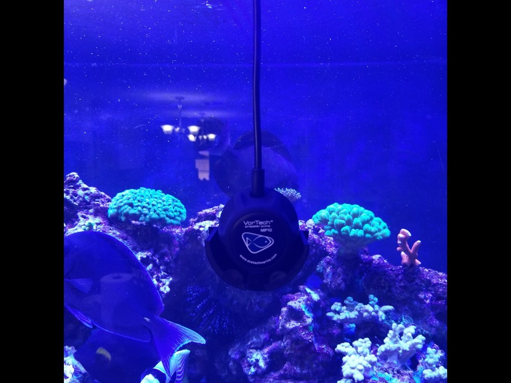 Ecotech Marine Vortech MP10 3D Printed Dry Side Support Mount