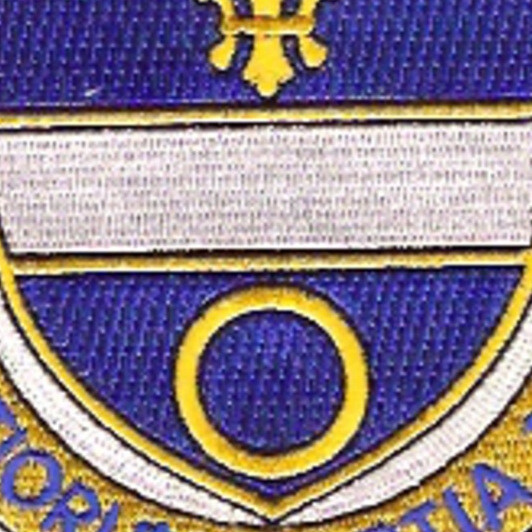 365th Infantry Regiment Patch