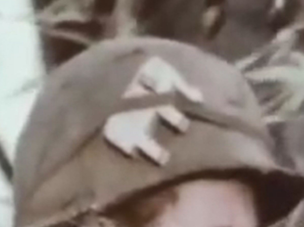 Vietnam War Era Wooden Elephant Puzzle Observed on US GI Helmets JAPAN #1