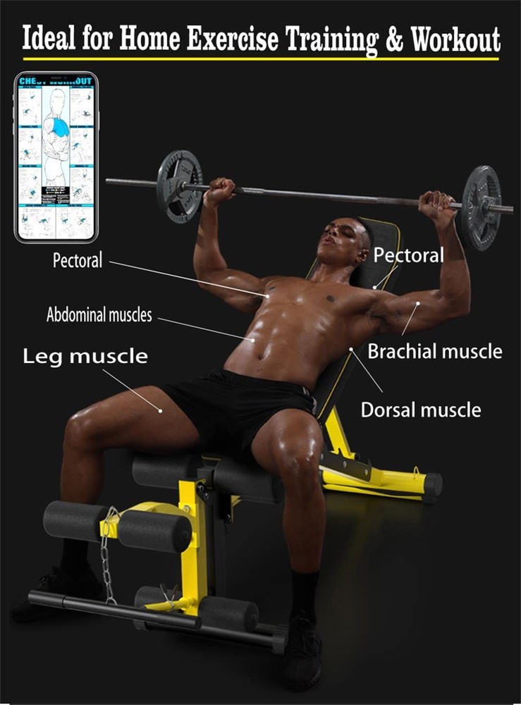 Utility Weight Bench with Leg Extension - Multi-Position Adjustable Bench for...