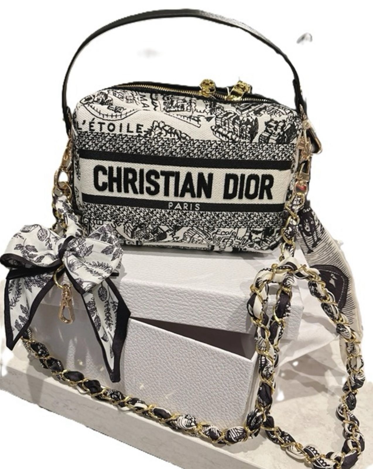 NWT Christian Dior Plan De Paris Canvas Embroidered Cosmetic Bag VIP GWP- BOX