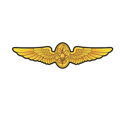 Flight Surgeon Badge Wings Sticker Decal