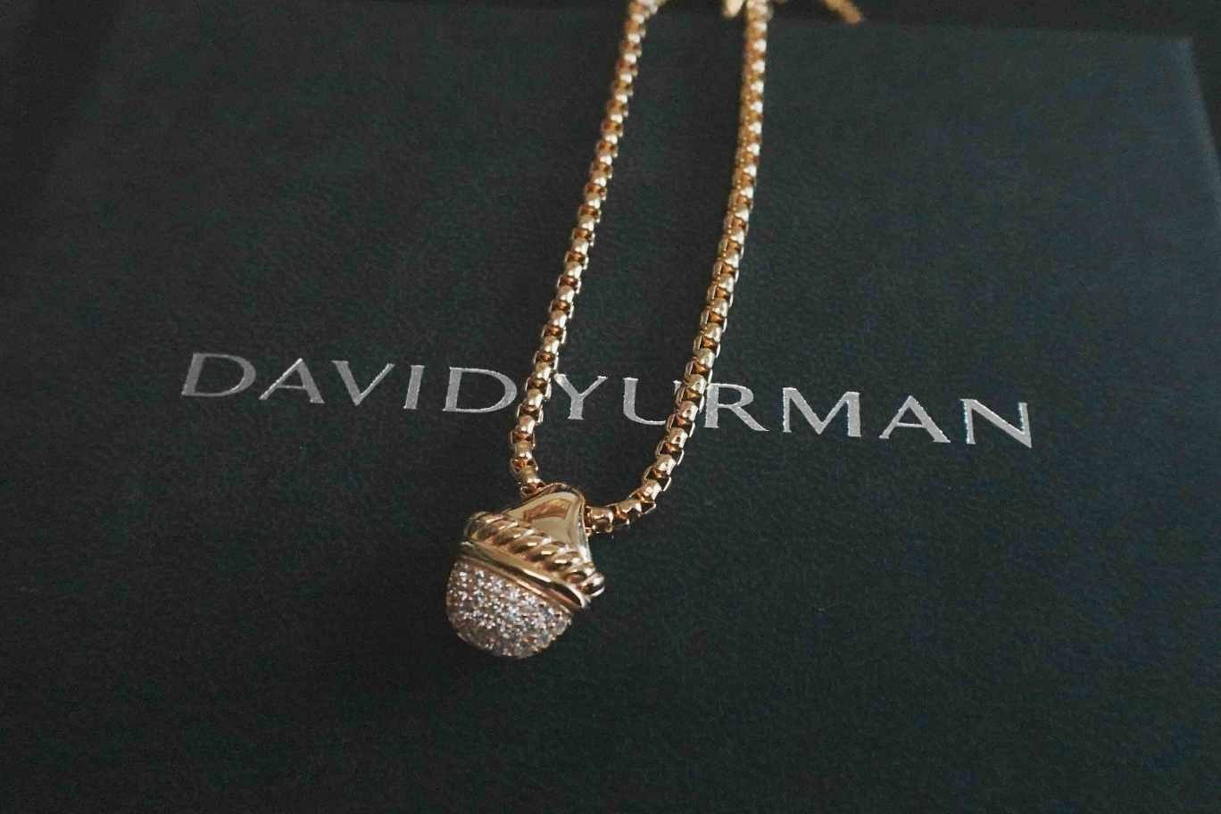 NEW*DavldYurman*Half*Moon%Diamond Pendant Necklace 17"
