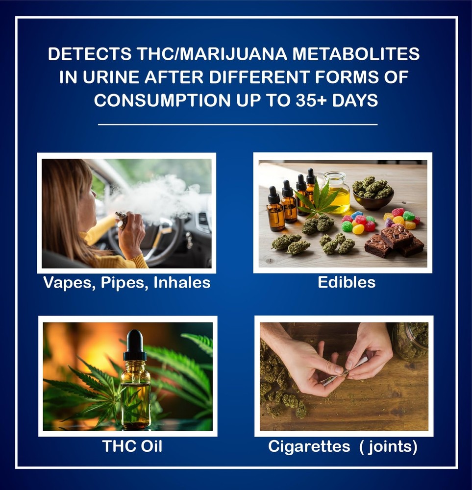 3 Pack - DrugExam Multi Drug Screen Test. Testing for THC/Marijuana in Urine.