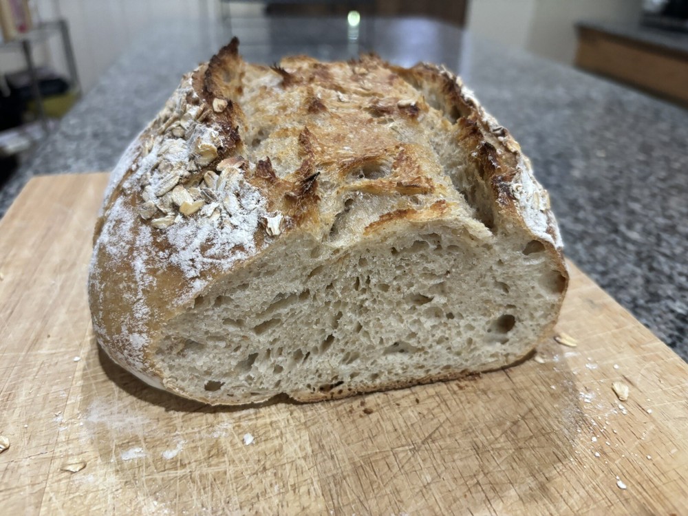 sourdough starter
