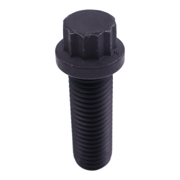 205584 Twelve-Point Cap Screw