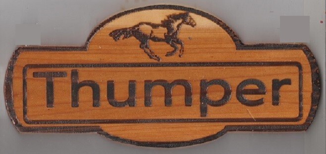 Horse Stall Personalized Name Plates Cedar Approx. 3/4 inch thick.....