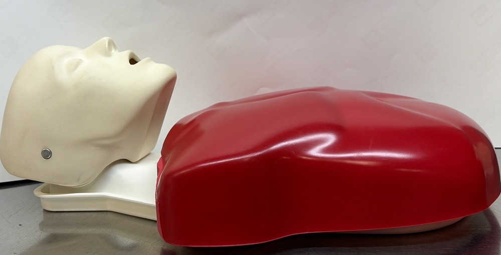 Lifeform Nasco Basic Buddy CPR Training Adult