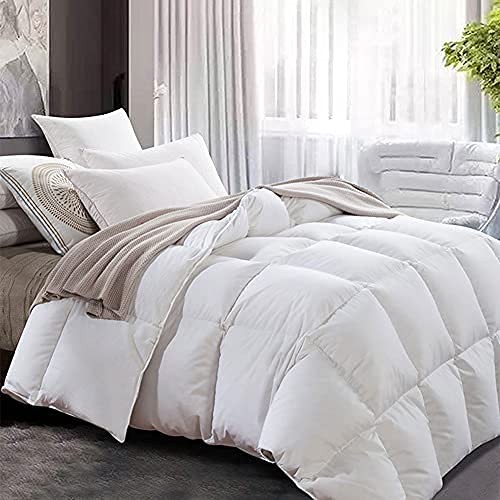 Soft Size Comforter Duvet Insert-Down Alternative Comforter Queen White