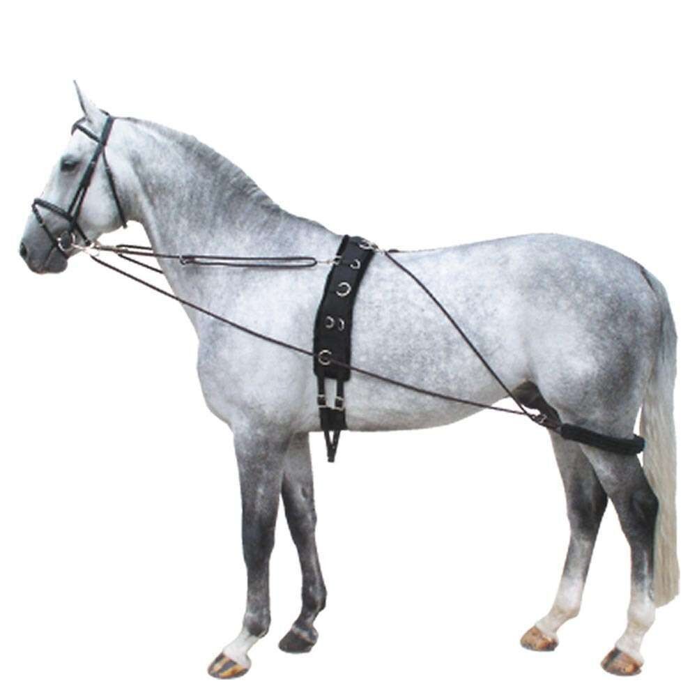 Horse Lunge Training System Aid Develops Top Line Cob/Pony