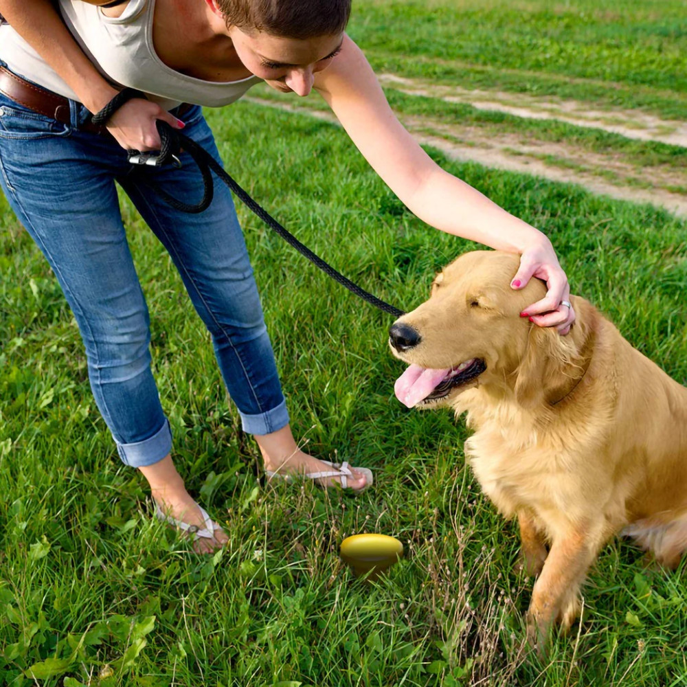Simple Solution Pee Post Outdoor Dog Potty Training Aid – 13" Pheromone Stake